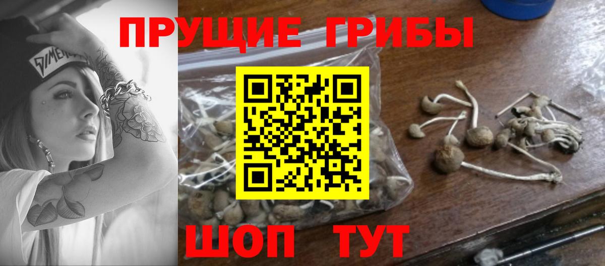 Галлюциногенные грибы ЛСД Карталы