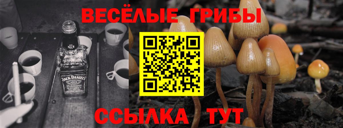 как найти закладки  Псилоцибиновые грибы ЛСД  Вход с VPN  Карталы 